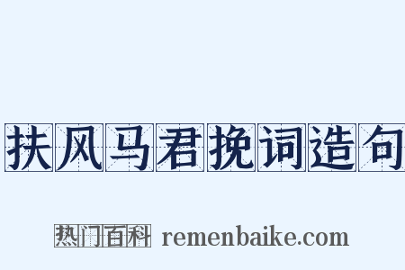 扶风马君挽词造句是什么意思的图片